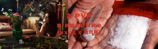 гашик Нея