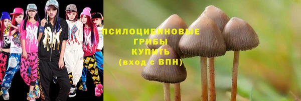 ALPHA-PVP Надым