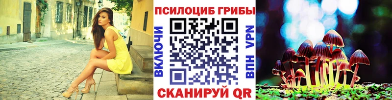 Псилоцибиновые грибы прущие грибы  Нижняя Тура 