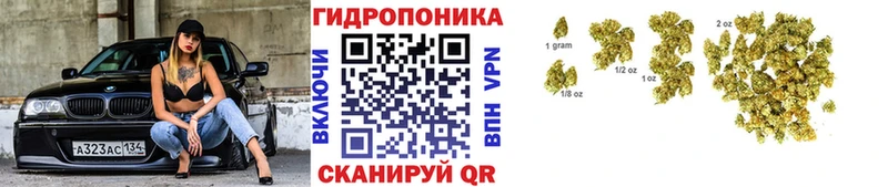 KRAKEN купить закладку Нижняя Тура Бошки Шишки SATIVA & INDICA